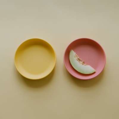 Set de 2 Assiettes ventouses en silicone - Mimosa / Corail